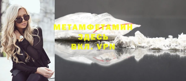 индика Новокубанск
