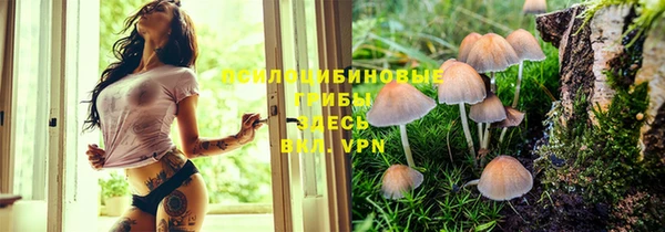 гашиш Новодвинск