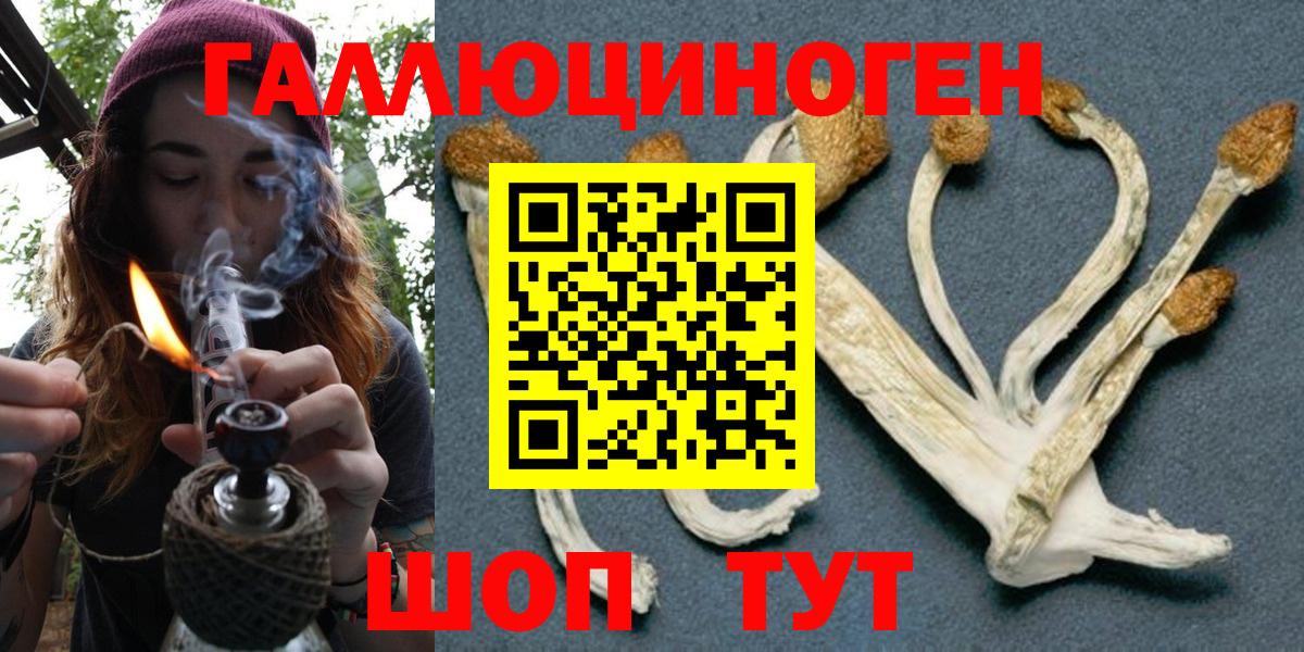 Галлюциногенные грибы мухоморы  Галлюциногенные грибы MAGIC MUSHROOMS  Набережные Челны  Вход с VPN 