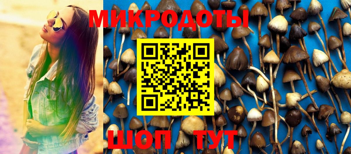 Псилоцибиновые грибы мухоморы Набережные Челны